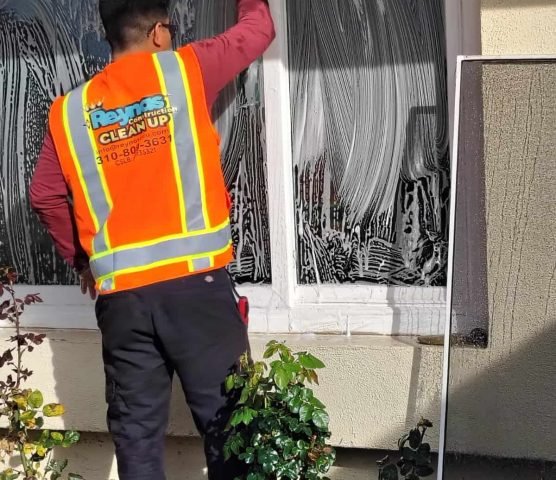 windows cleaning